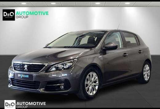 Peugeot style camera gps