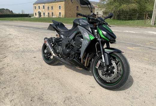 Scorpion