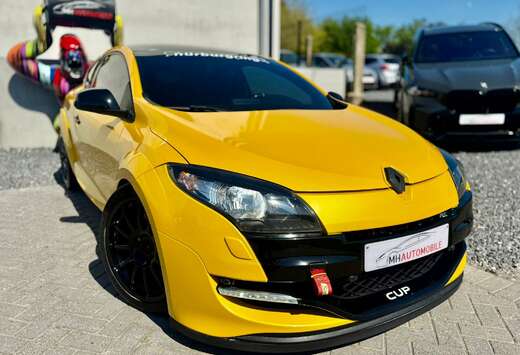 Renault UTILITAIRE 2.0 Turbo 16v RS Cup