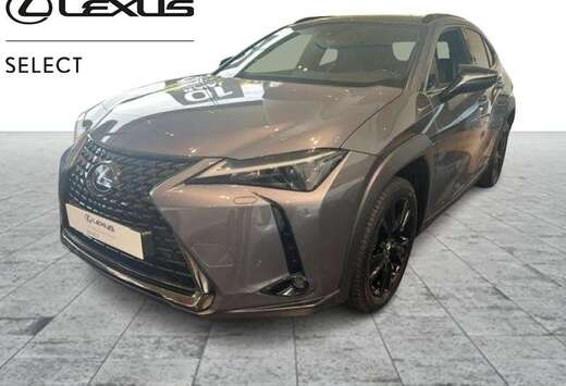 Lexus Black Line