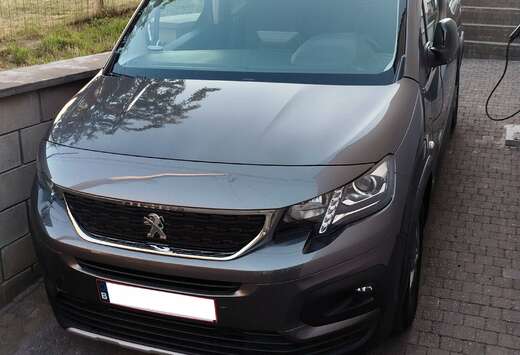Peugeot Allure Pack Elektromotor L1