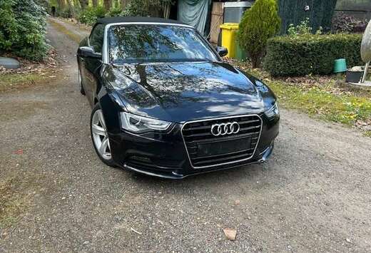 Audi Cabriolet 2.0 TDi S line DPF