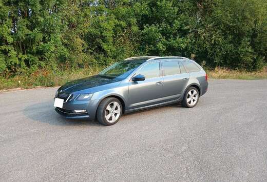 Skoda SW 1.6 CR TDi Style DSG (EU6.2)