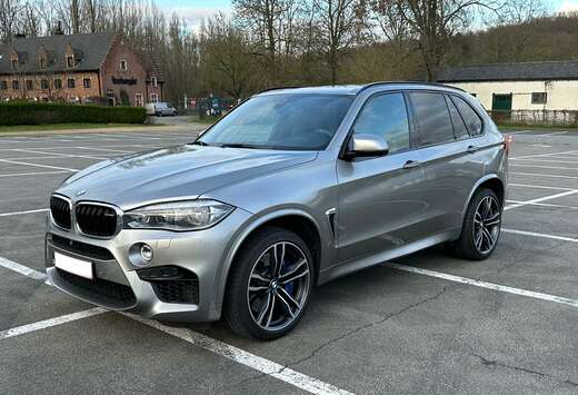 BMW 4.4AS V8