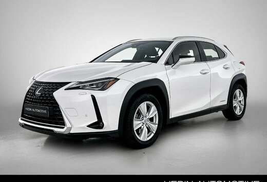 Lexus 2.0L Business Edition