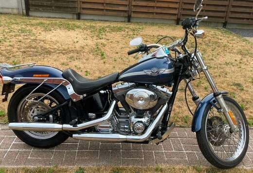100TH Anniversaire Softail Standart