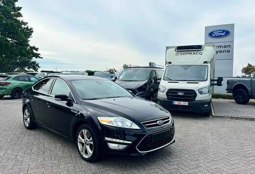 Ford Enkel voor professionele verkoop.