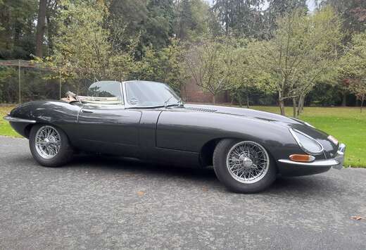 Jaguar 1 1/2 4.2 ots