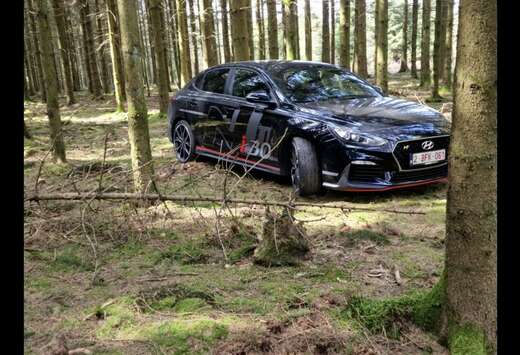 Hyundai Fastback N 2.0 T-GDi Performance Pack