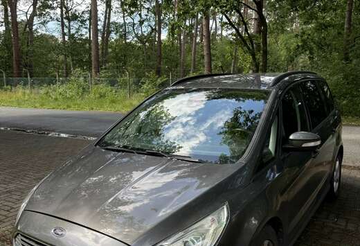 Ford Ford Galaxy 2.0L TDCi Automaat 7 Zits