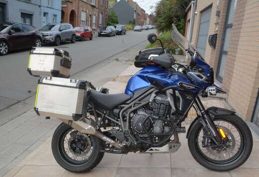 Triumph Explorer XCA