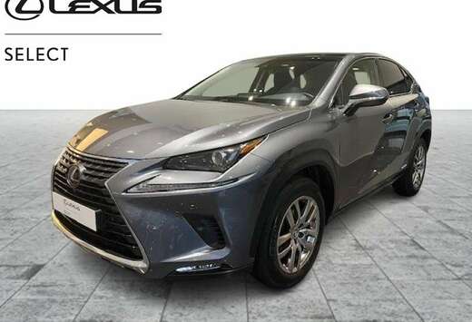 Lexus Executive Line