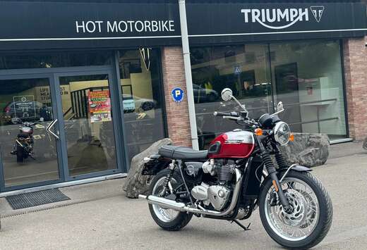 Triumph (garantie 24 mois)