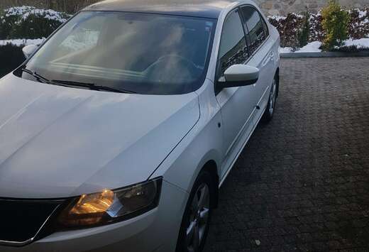 Skoda Rapid AA Berline 1.6 CR TDI Ambition