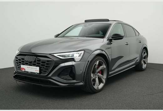 Audi 106 kWh 503 PK Quattro /Pano/MatrixLED/B&O/