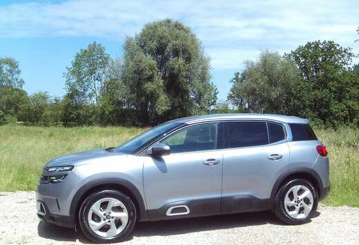 Citroen Benzine 75dkm Shine Pack 18\