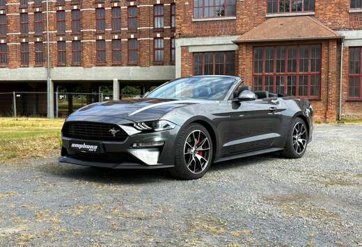 Ford Cabrio 2.3l ecoboost  55y Edition      Puur. Vri ...
