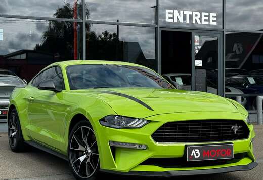 Ford 2.3EcoBoost Manual FIFTY FIVE  Exhaust Cockpit 1 ...