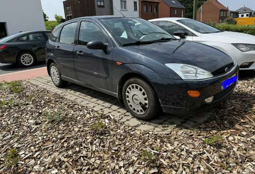 Ford 1.8 Turbo Di Ghia