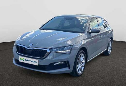Skoda 1.0 TSI Clever DSG