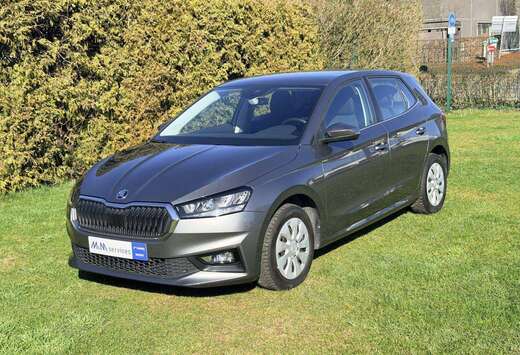 Skoda Fabia 1.0 TSI Ambition DSG Ambition