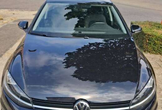 Volkswagen Golf 1.5 TSI EVO Sound DSG