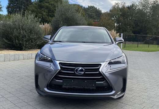Lexus 2.5i AWD Executive Line E-CVT
