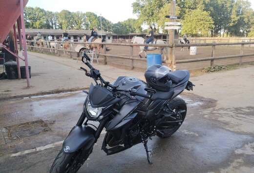 Suzuki Black Edition