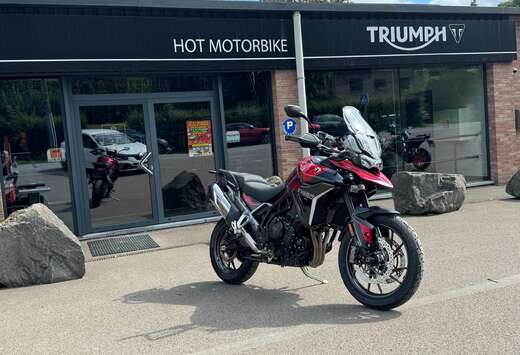 Triumph GT Pro (garantie 24 mois)