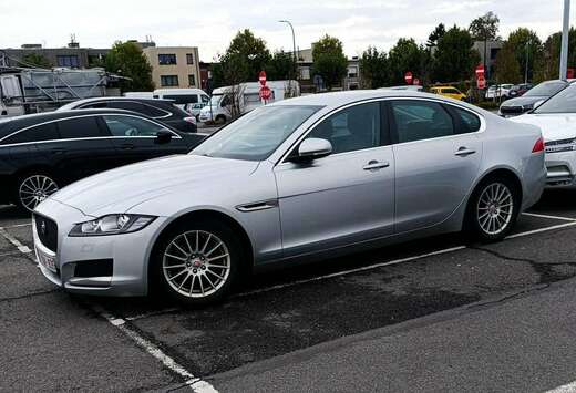 Jaguar XF 2.0 D E-Performance Prestige