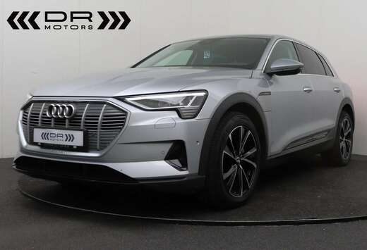 Audi 55 - AIRSUSPENSION - CAMERA