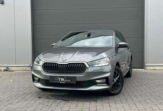 Skoda Zetelverwarming/airco/parkeersensoren