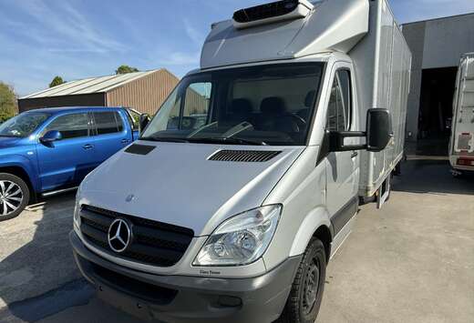 Mercedes-Benz CHASSIS CAB 313 CDI + Caisse Frigo + 11 ...