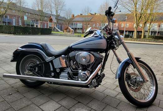 Softail