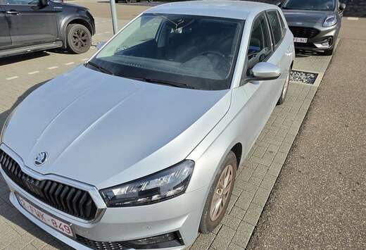 Skoda 1.0 TSI Selection DSG