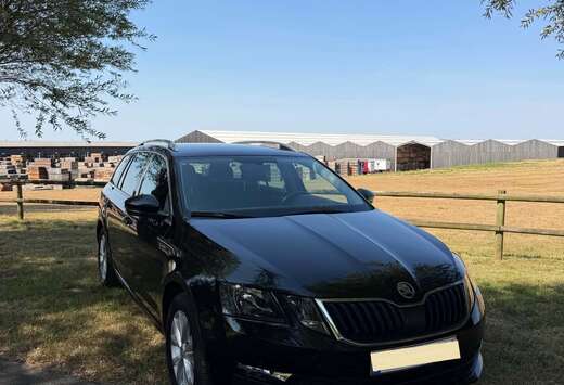 Skoda SW 1.0 TSI Ambition (EU6.2)
