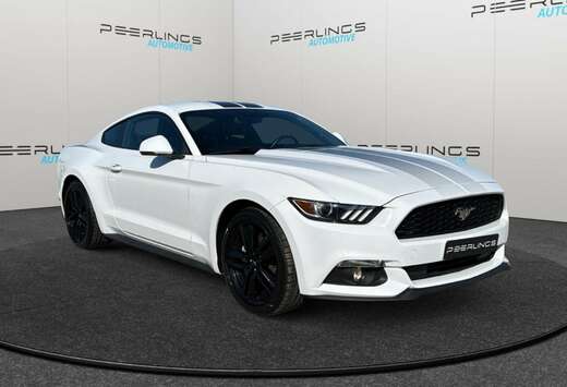 Ford 2.3 EcoBoost - Manueel