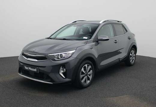 Kia 1.0 T 100 More | Camera | PDC V+A | Carplay | Cru ...
