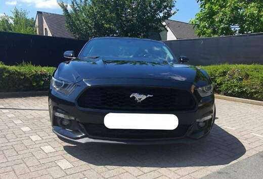 Ford Ford Mustang 2.3 EcoBoost Premium Performance Pa ...