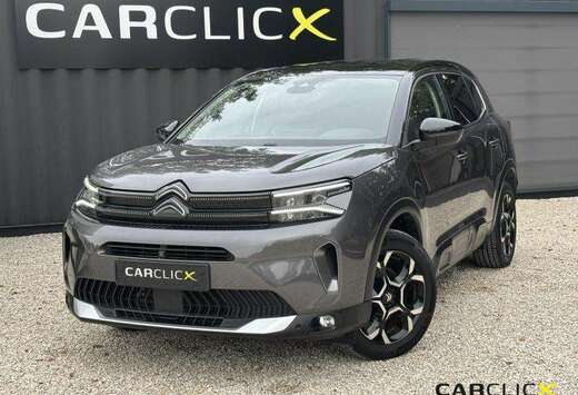 Citroen Max Hybride 136 DCS6