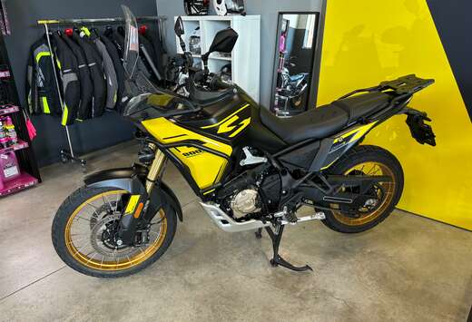 DS800 Rally