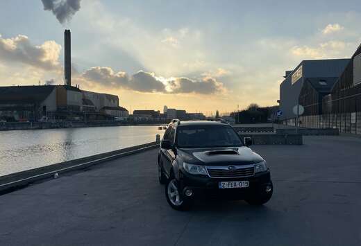 Subaru 2.0 D Luxury Plus