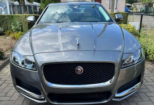 Jaguar XF 2.0 D E-Performance Prestige (EU6.2)