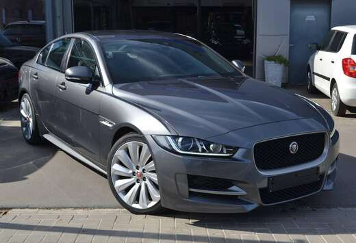 Jaguar R-SPORT/LOW MILEAGE/19\
