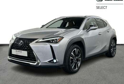 Lexus Privilege Line