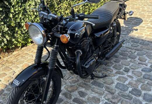 Black Edition