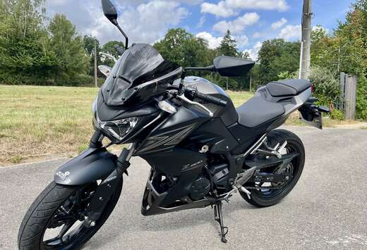 Z300 ABS