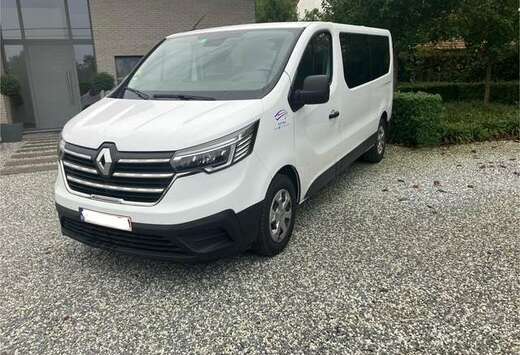 Renault 2.0 dCi 29 L2H1 Business (Fleet)