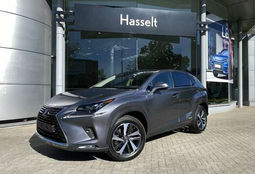 Lexus Privilege Line