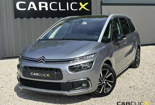 Citroen Shine 7pl